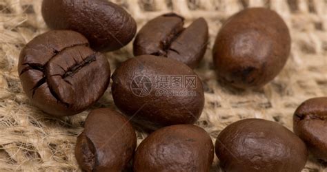 福 隆 咖啡 豆